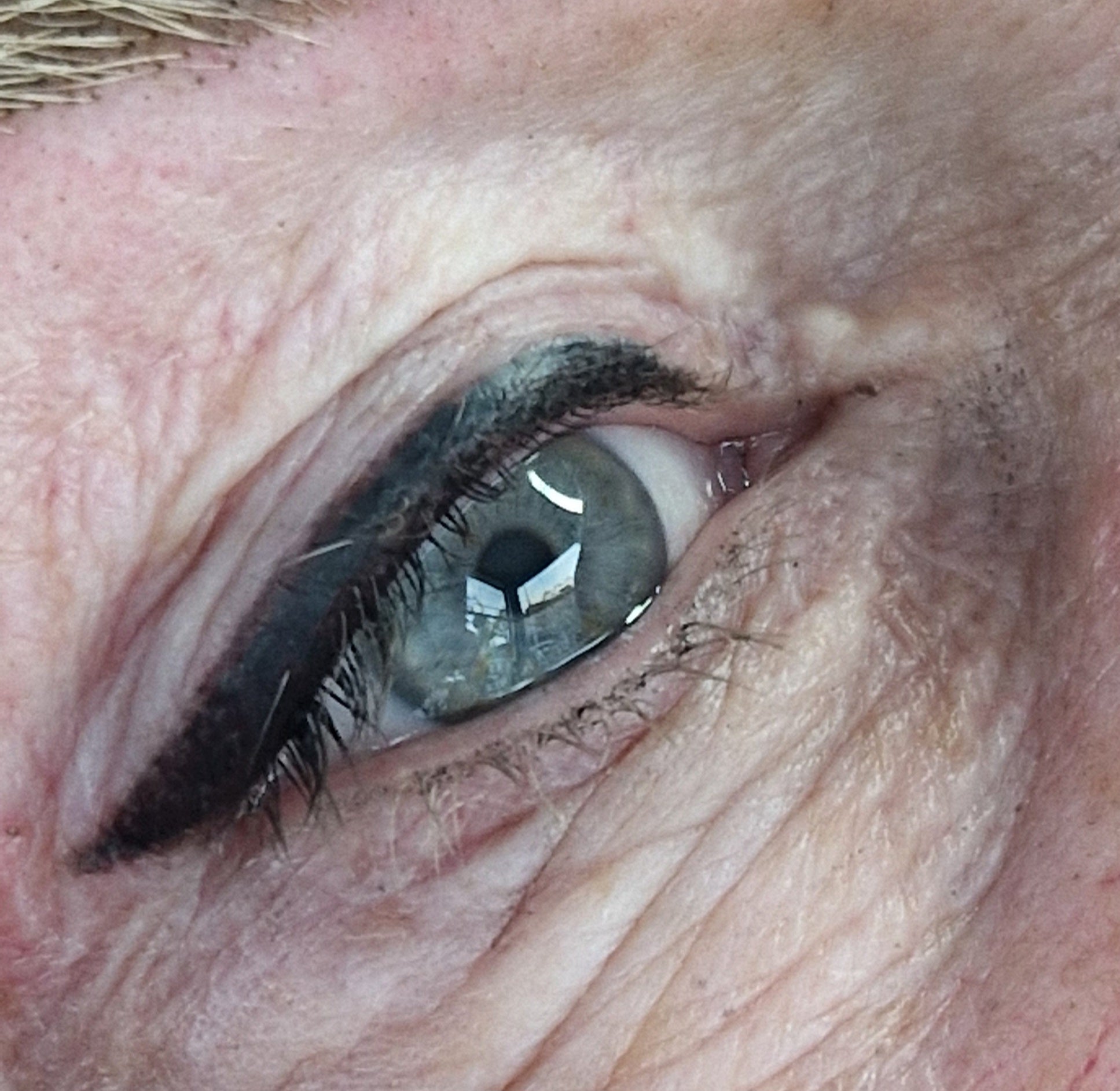 Eyeliner met wing